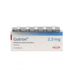 Гутрон таблетки 2,5 мг. №20 в Альметьевске и области фото
